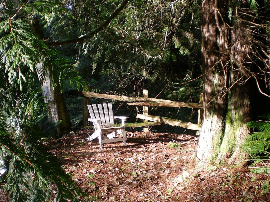 Bed and Breakfast Davis Brook Retreat Sechelt Exterior foto