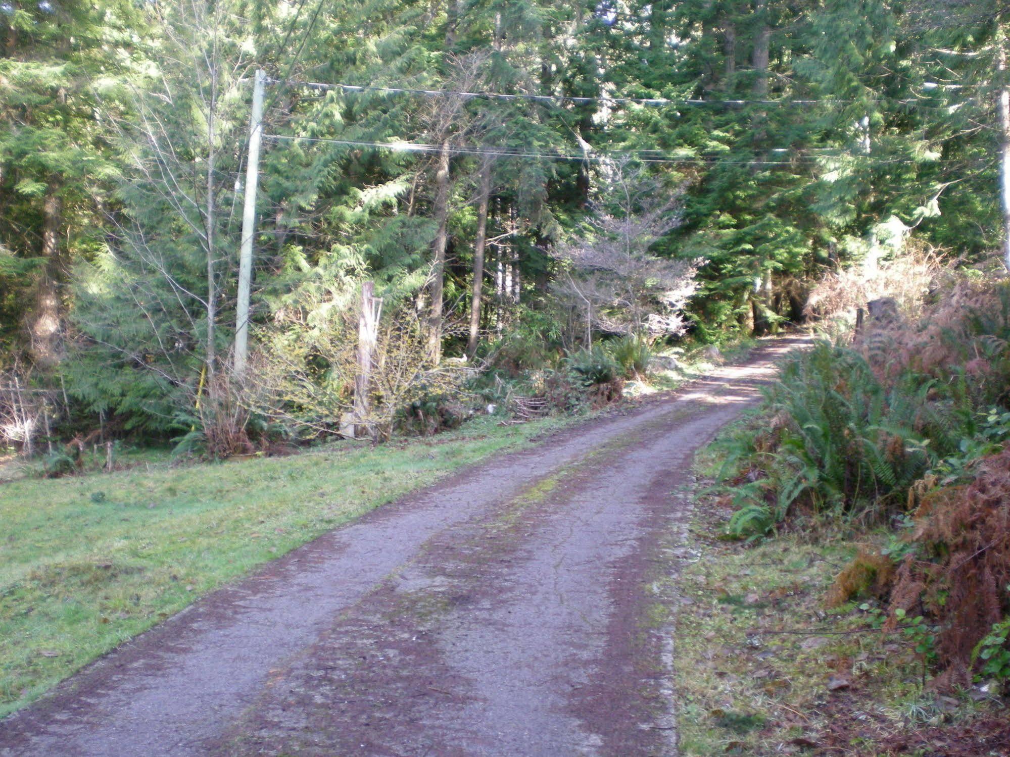 Bed and Breakfast Davis Brook Retreat Sechelt Exterior foto